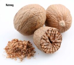 Nutmeg from Madagascar